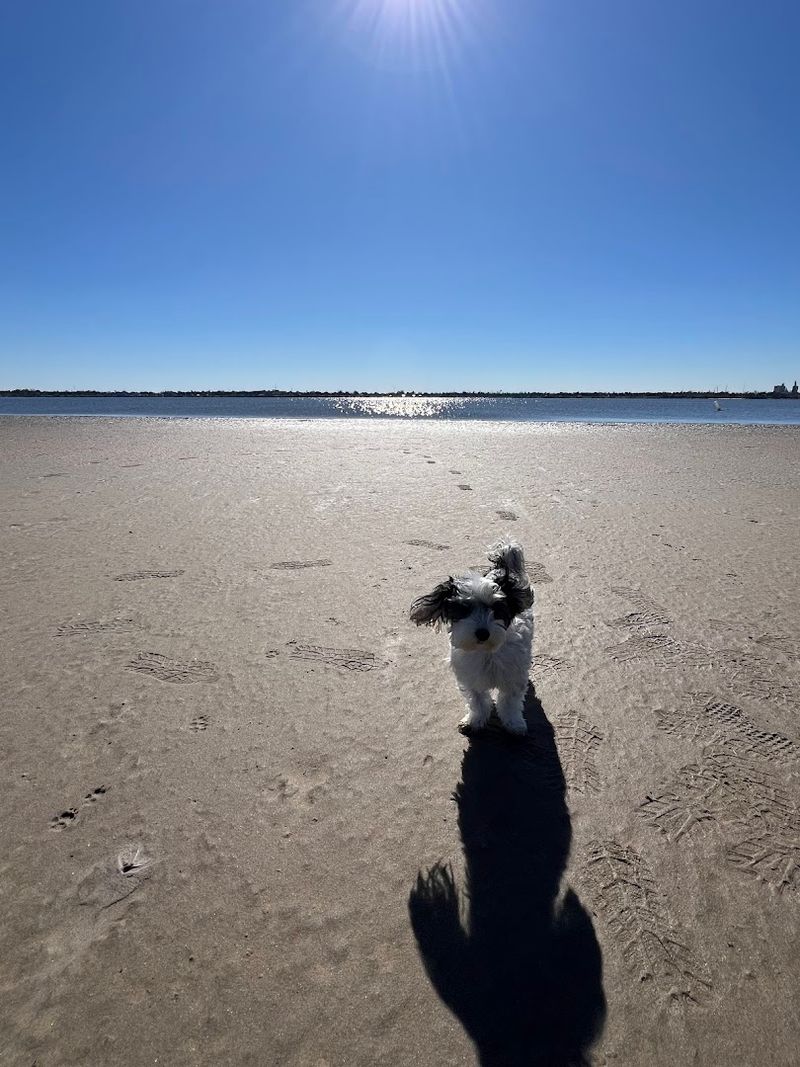 Respect Rules And Pet Policies