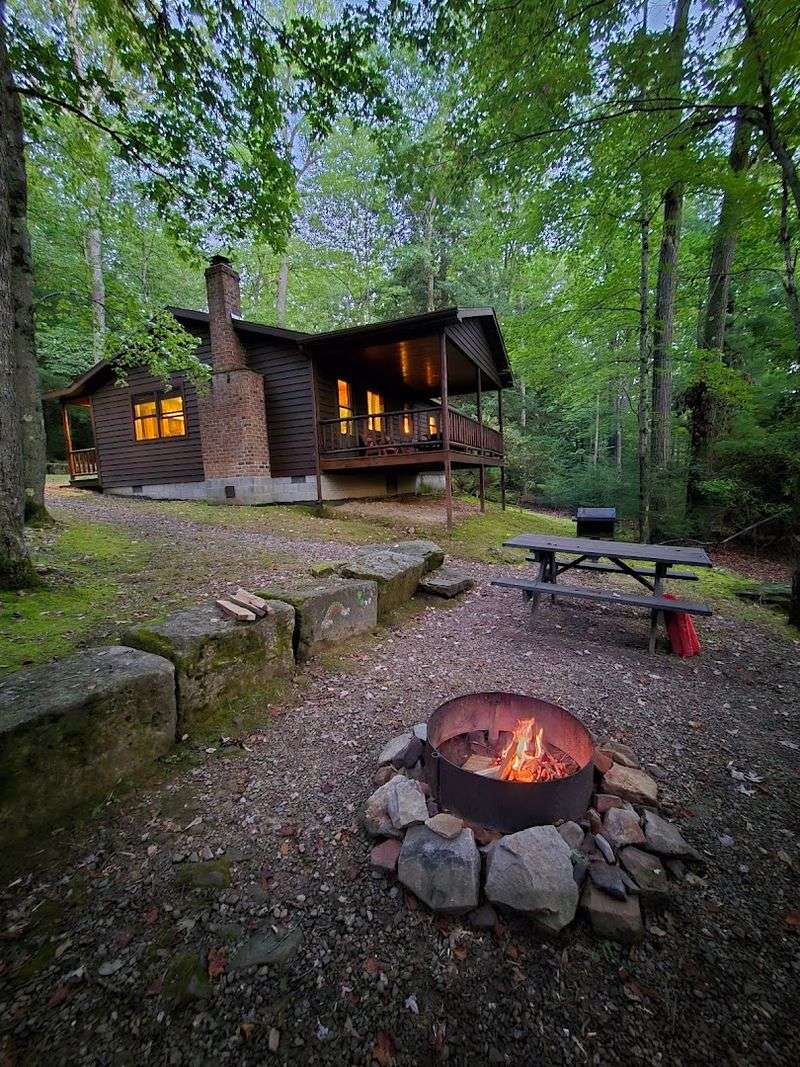 Black Bear Cabins