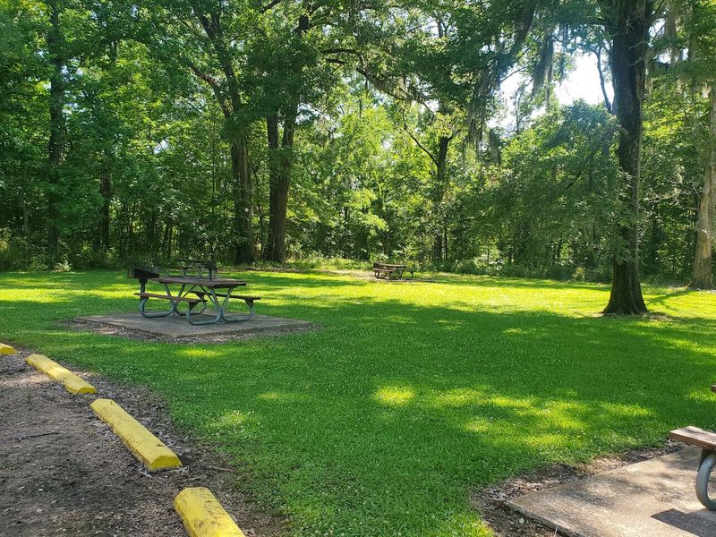 Have A Relaxing Picnic