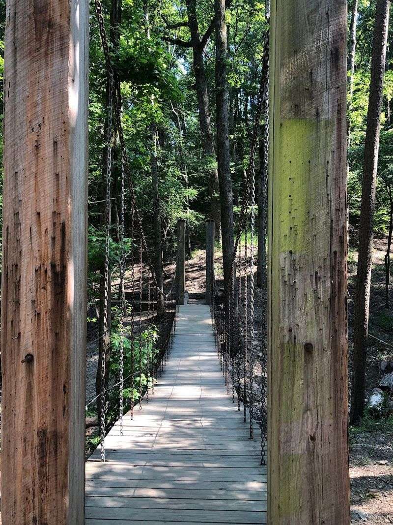 The Swinging Footbridge You Did Not See Coming
