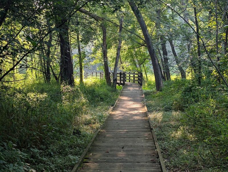 Pershing State Park