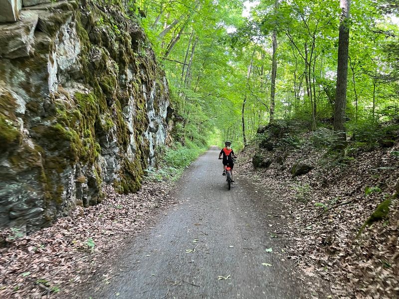 What The Trail Surface Feels Like To Ride