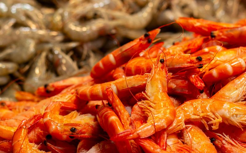 Seasonal Shrimp Timing