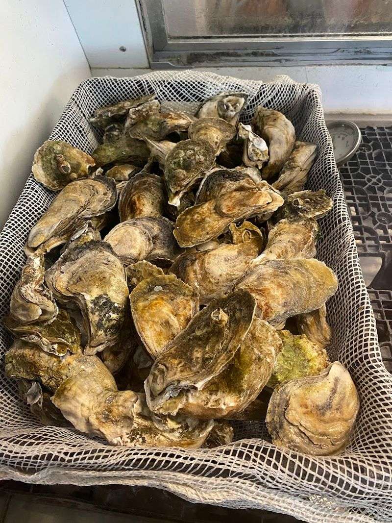 Gary Howard Seafood