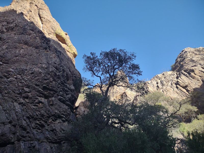 A Quiet Canyon With Big Views