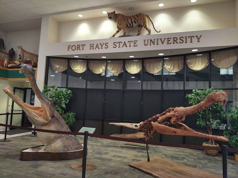Fort Hays State University Roots And Academic Backbone