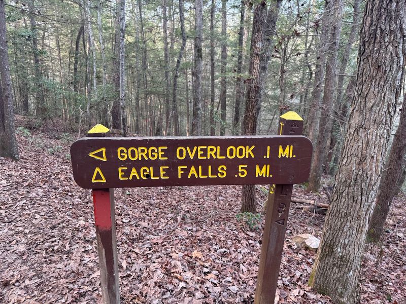 Eagle Falls Trail Adventure