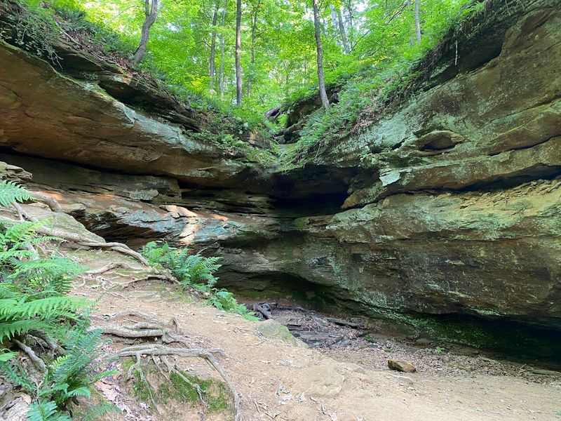 Wildcat Den State Park, Muscatine, Iowa