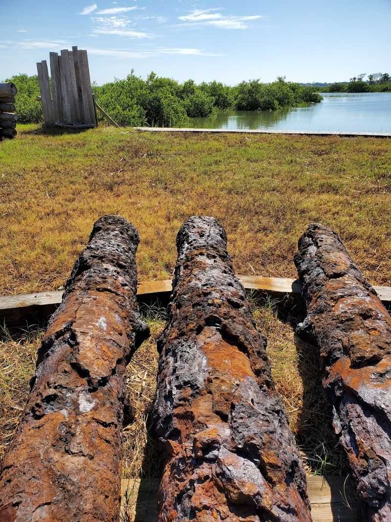 Cannons, Crossbows, And Colonial Firepower
