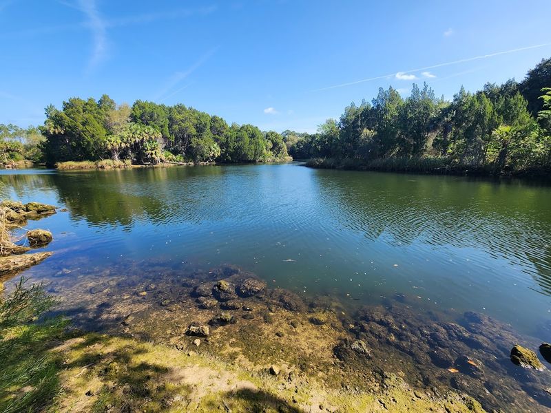 Crystal River, Nature Coast Florida