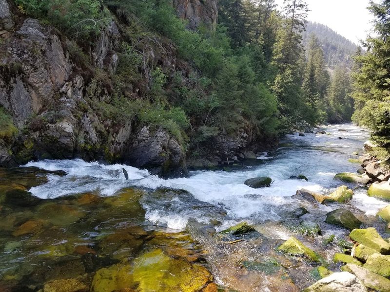 Fly Fishing The Yellowstone