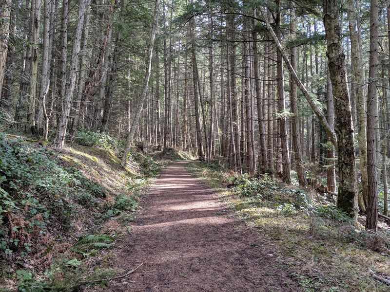 Turtleback Mountain Trails