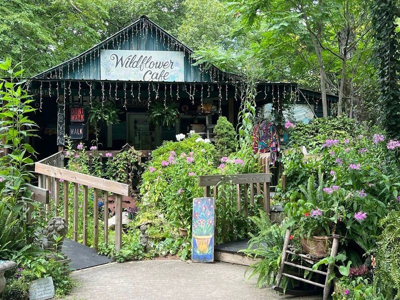 Mentone - Wildflower Cafe