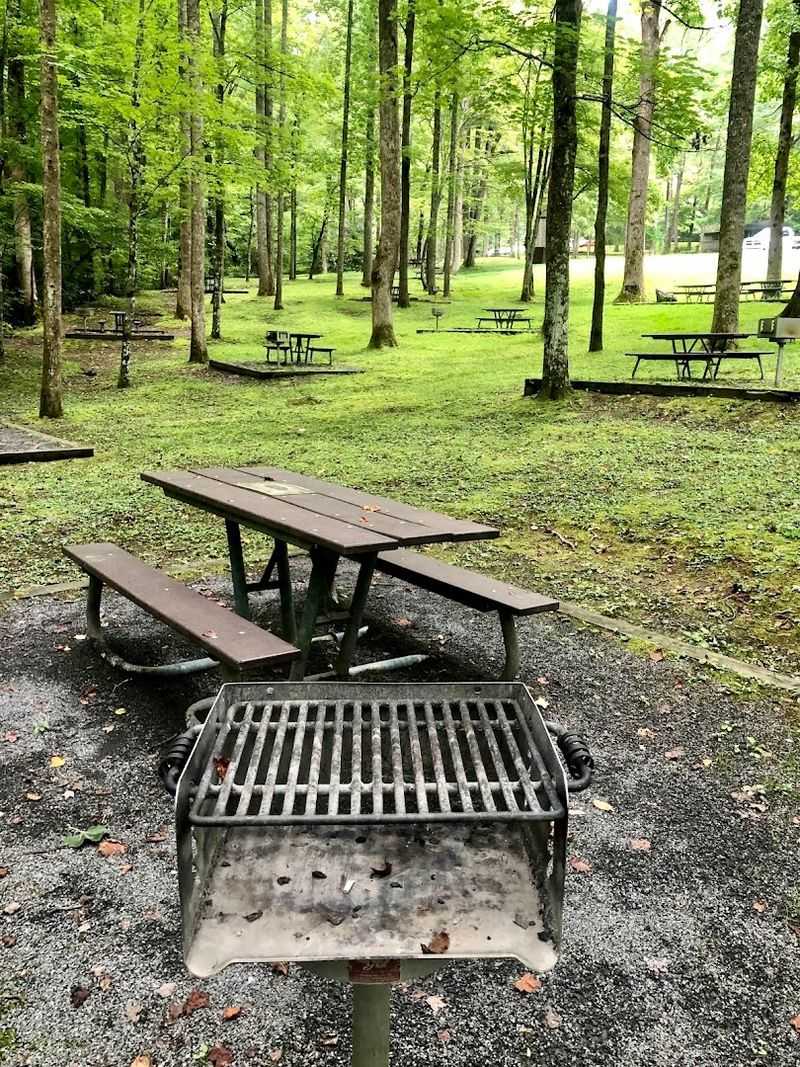 Picnicking With A Mountain View