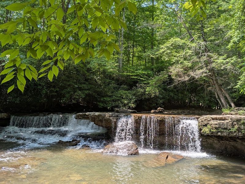 Mash Fork Falls