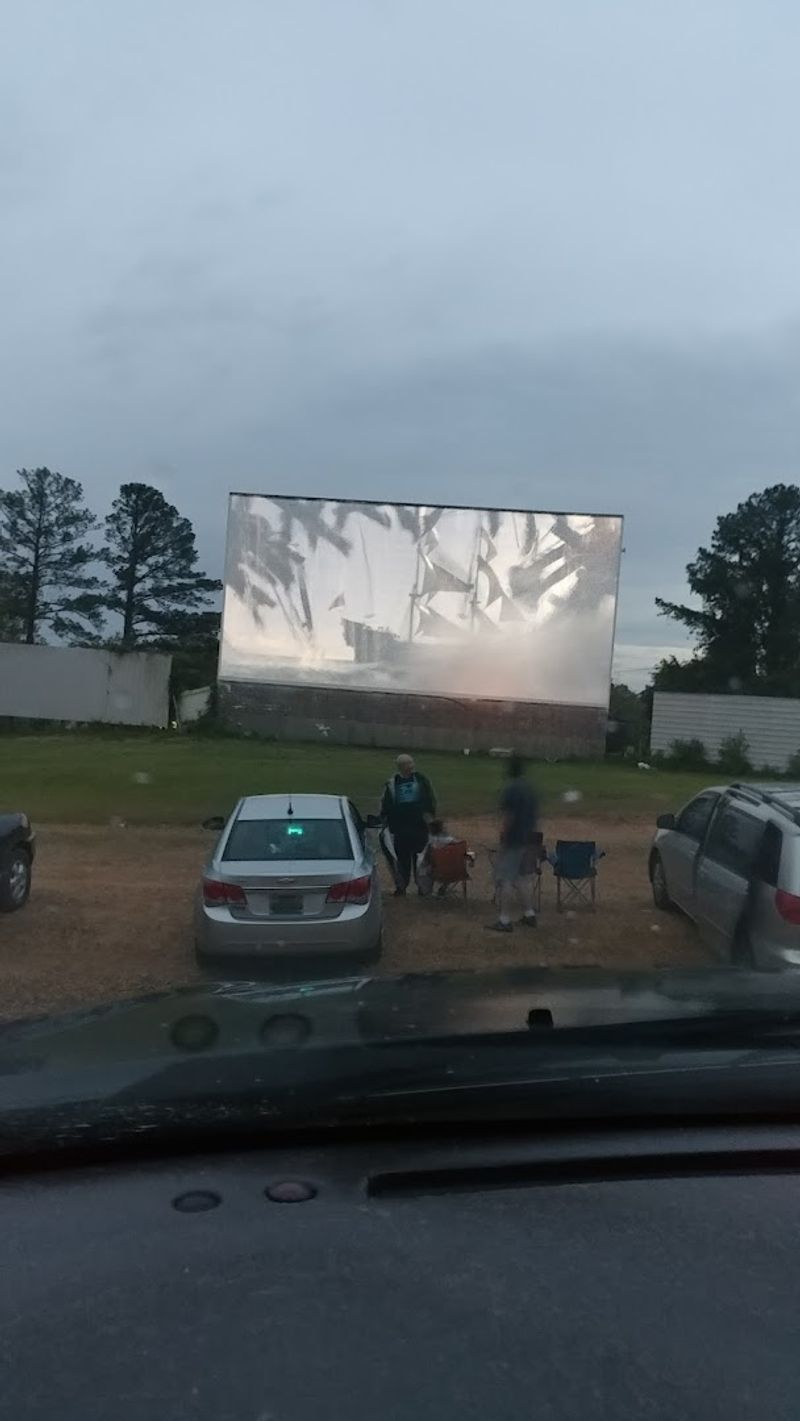Pets Are Welcome At This Outdoor Cinema