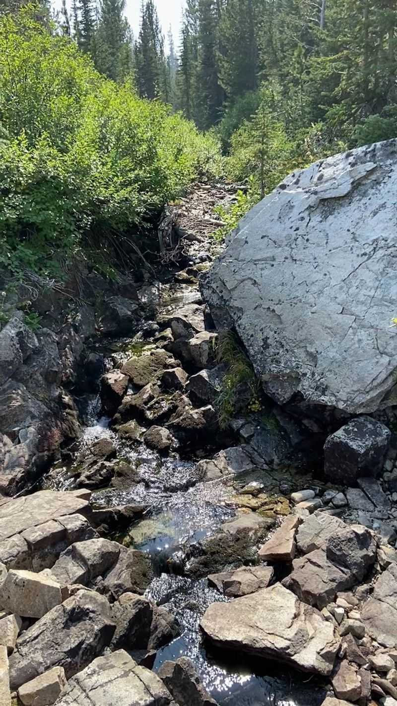 Creek Crossings And Cold Water