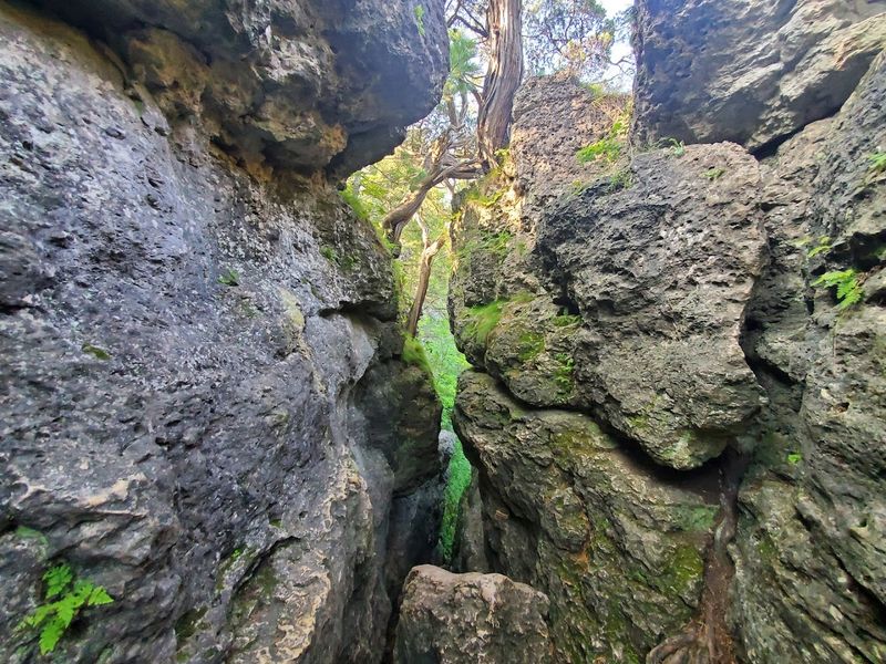 The Trail Itself and Terrain