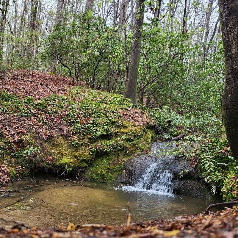 Hiking Trails And Wildlife