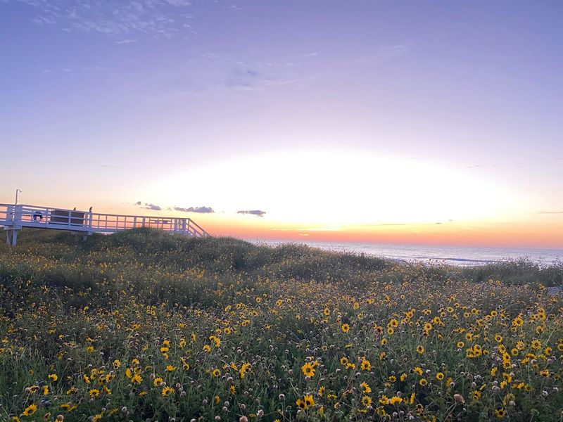 Birds, Butterflies, And A Trail Worth Finding