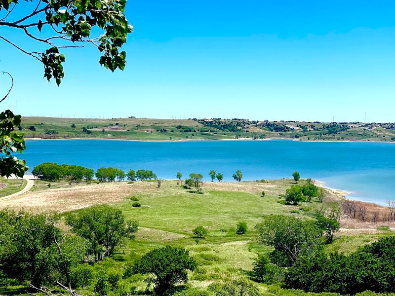 Wildlife and Birdwatching In A Prairie Ecosystem