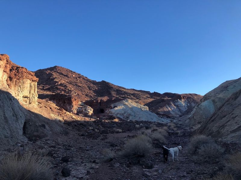 The Desert Setting Is Part Of The Whole Experience