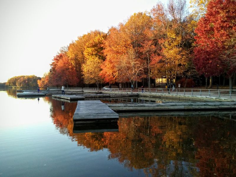 Lums Pond State Park