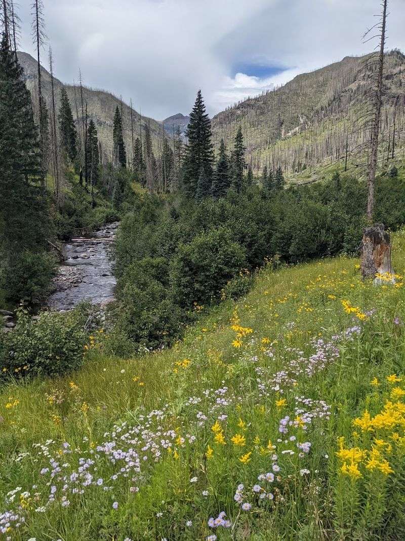 Trail Scenery That Stops You Cold