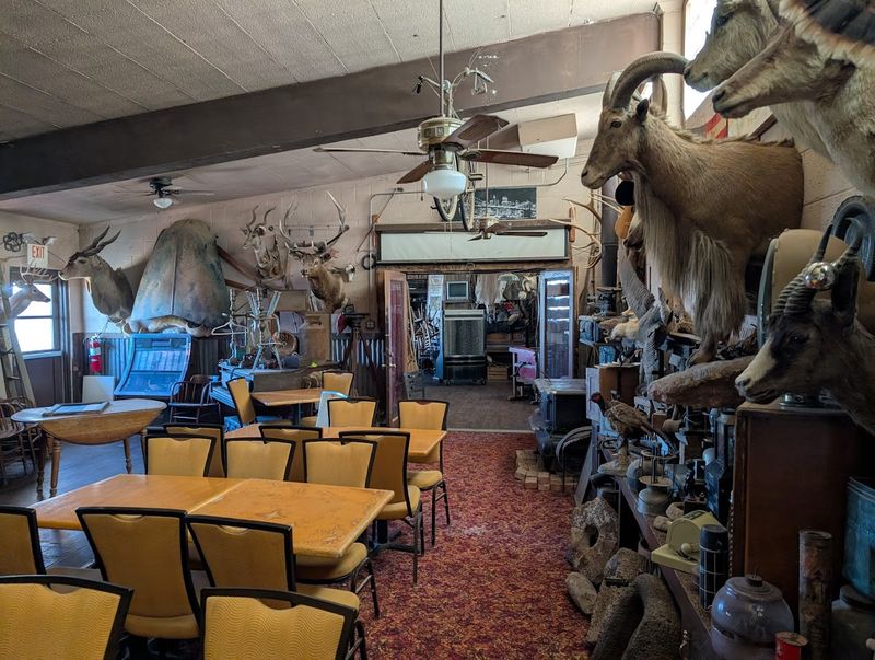 Former Schoolhouse Rooms With Museum Like Quirks