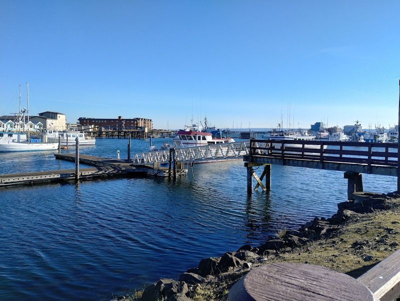 The Only Coast Guard City In Washington