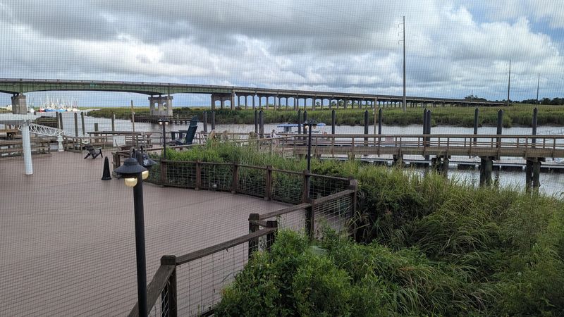 Marshes That Take Your Breath
