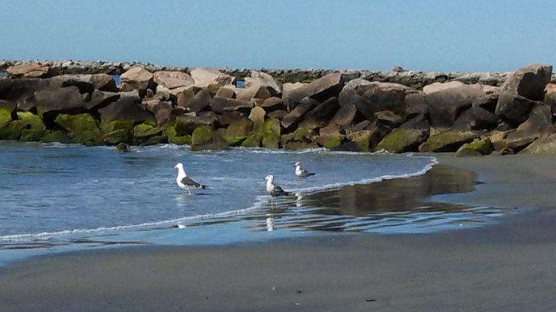 Beaches Worth Your Time