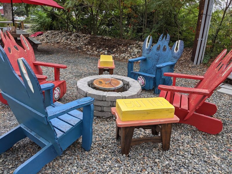 Outdoor Picnic Vibes For Everyone