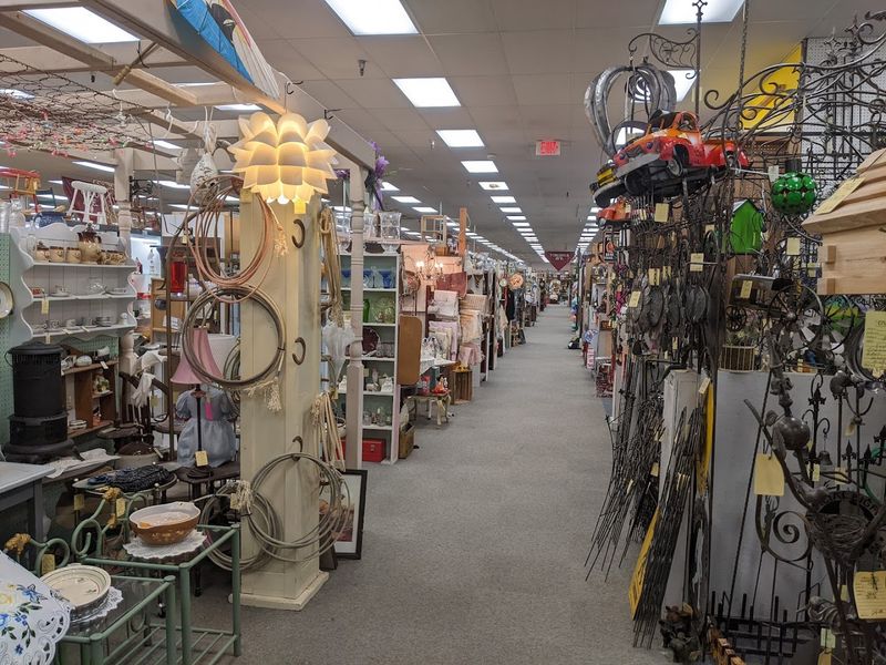 Pet-Friendly Shopping Adventure