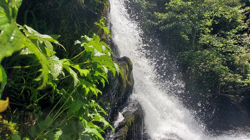 Swimming Hole Perfection