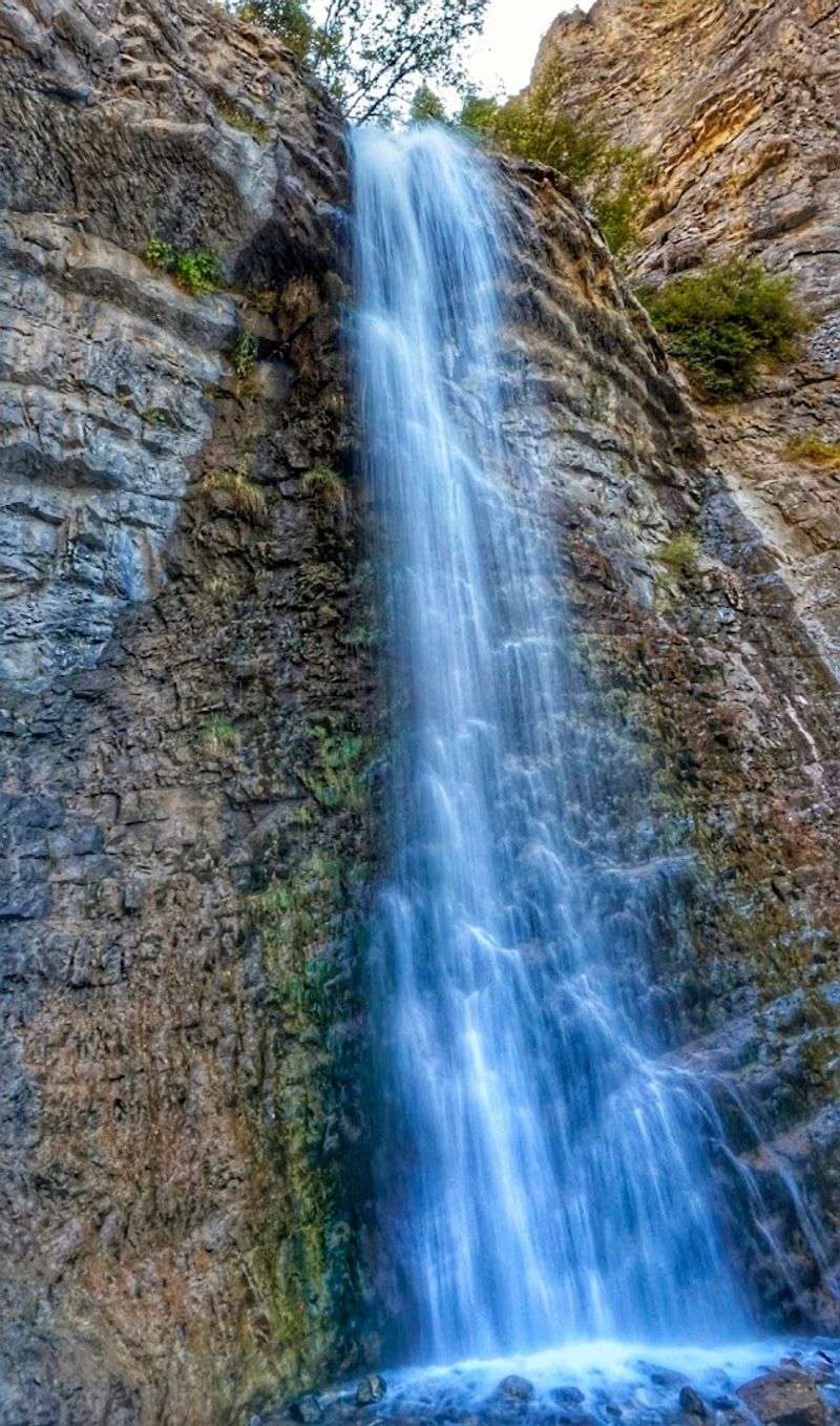 Battle Creek Falls Trail