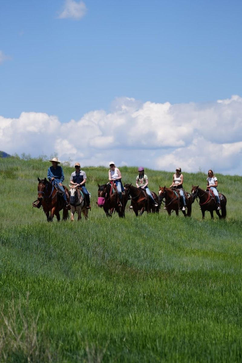 A Ride That Works For Families, Couples, And Solo Adventurers Alike