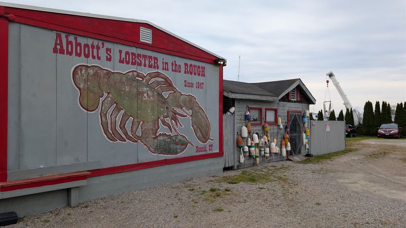 Abbott's Lobster In The Rough