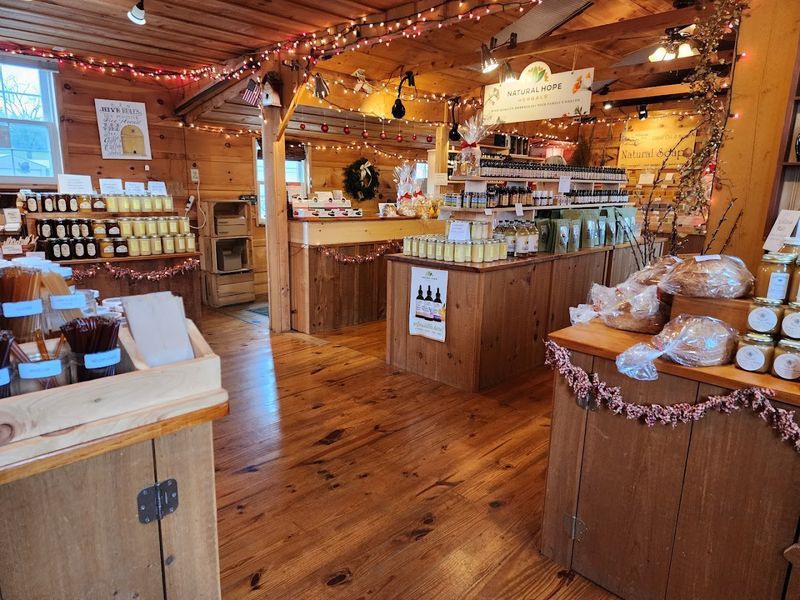 Amish Furniture That Belongs In A Forever Home