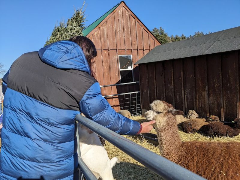 The Petting Zoo That Steals The Show