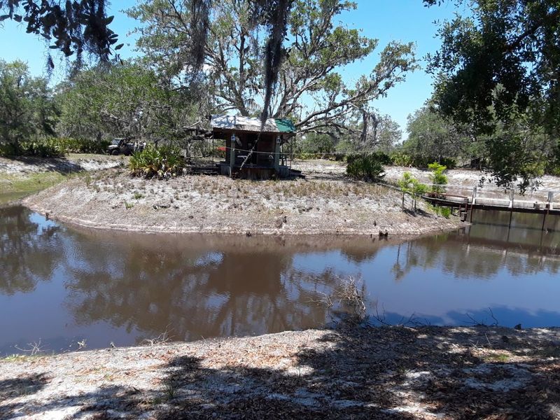 Highlands Hammock State Park Is Right At The Doorstep