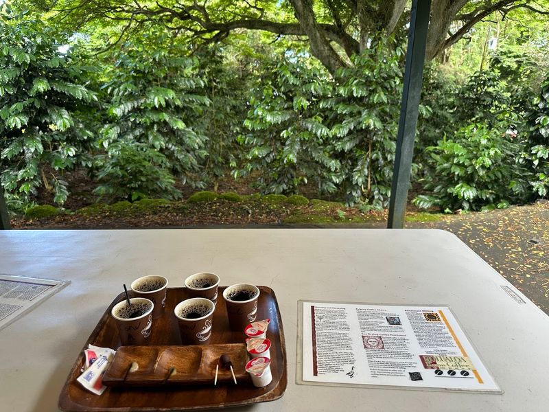 Holualoa Kona Coffee Company