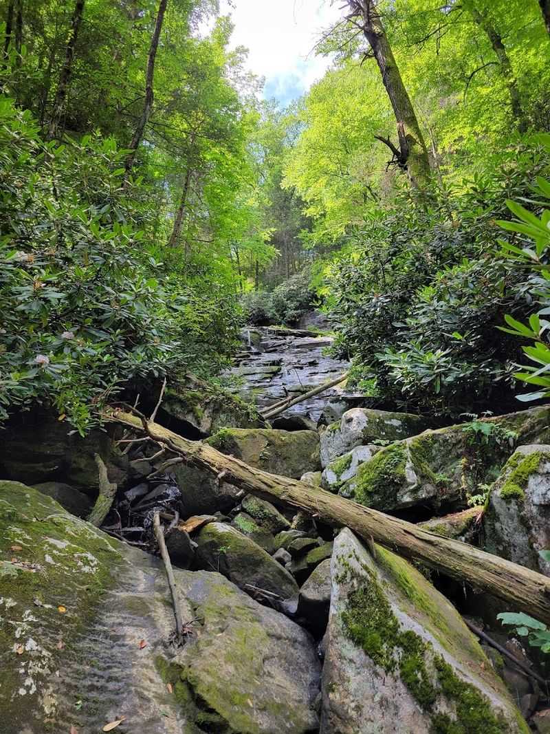 Butcher Branch Falls