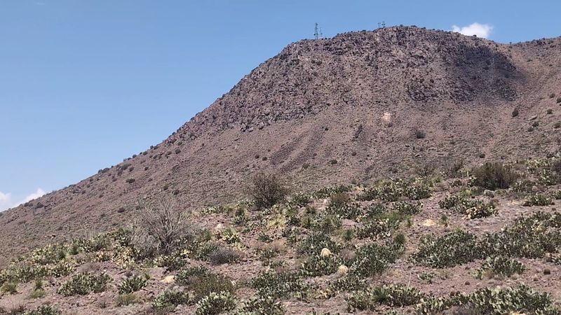A Rugged Park With A Treasure-Hunt Feel