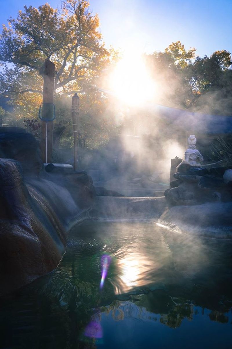 Golden Light Over The Springs