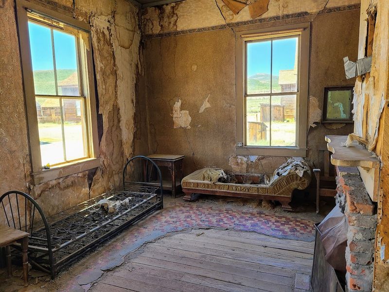 What The Museum Reveals About Life Here