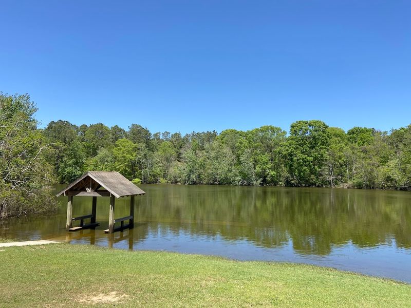 Go Freshwater Fishing