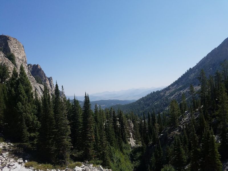 Wildlife And The Quiet Surprises Of The Forest