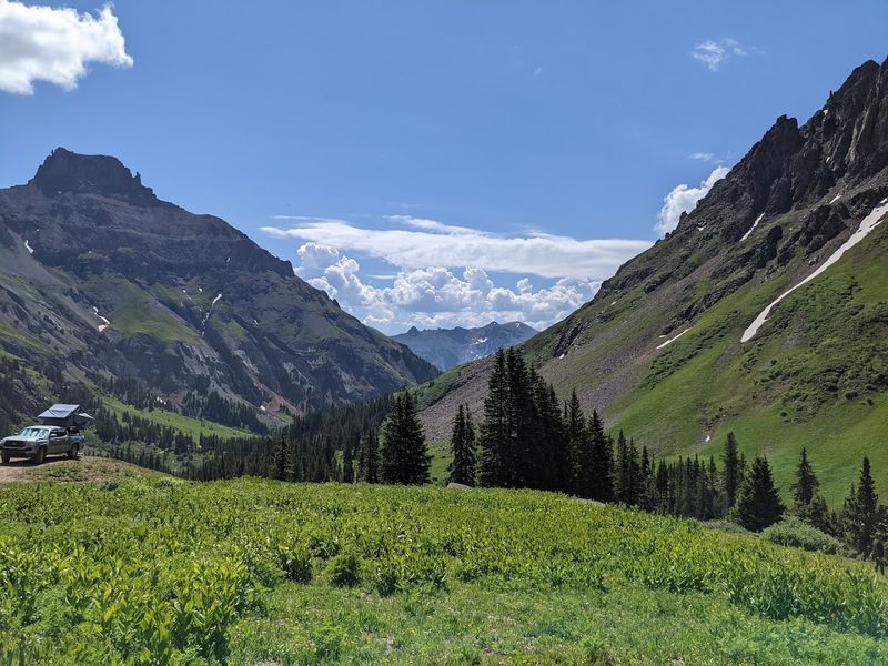 Wildflowers And Yankee Boy Basin