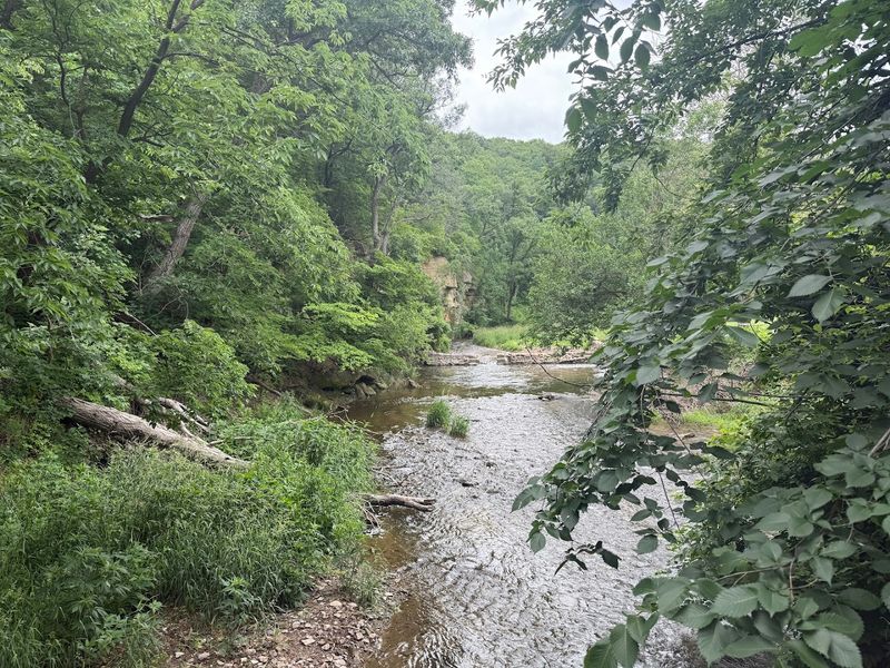 Prairie Creek and the Joy of Getting Your Feet Wet